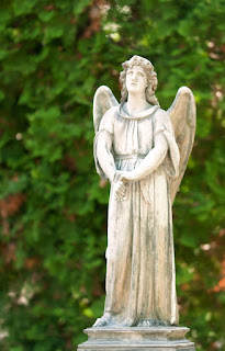 The Miracle of the ‘Garden Angel’